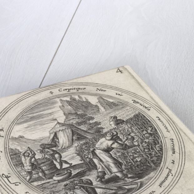 Noah in a vineyard by Philips Galle