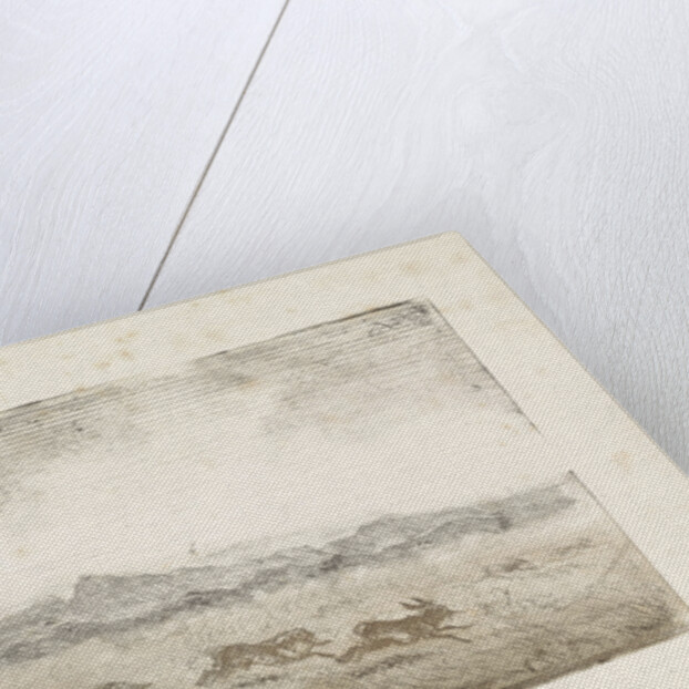 Hare Hunt by Johannes Tavenraat