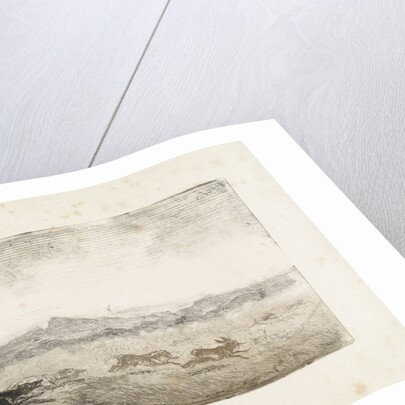 Hare Hunt by Johannes Tavenraat