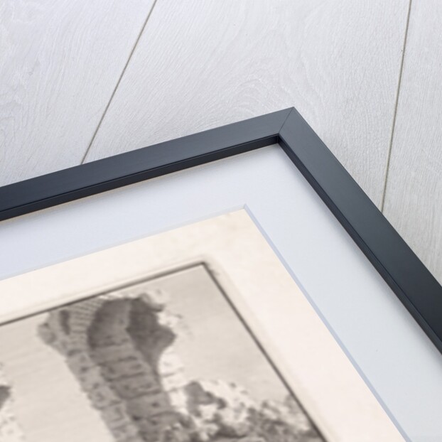 Ruins of the colosseum in Rome Italy by Bonaventura van Overbeek