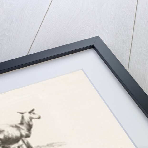 Standing sheep and pissing ewe by Anonymous