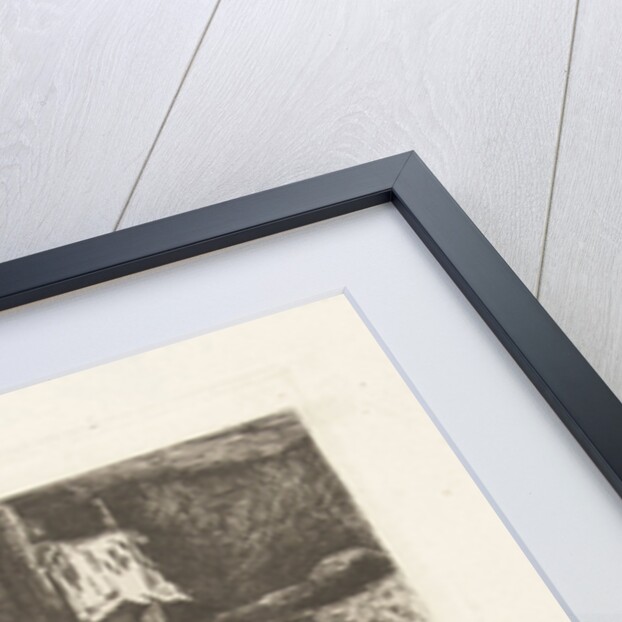 Two cows in the barn by Gerard Jan Bos