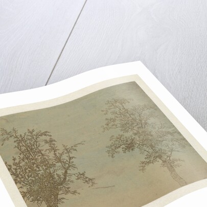 The two trees by Hercules Segers