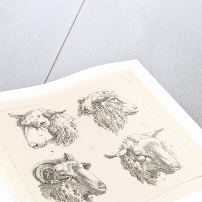 Four sheep heads by Barend Hendrik Thier