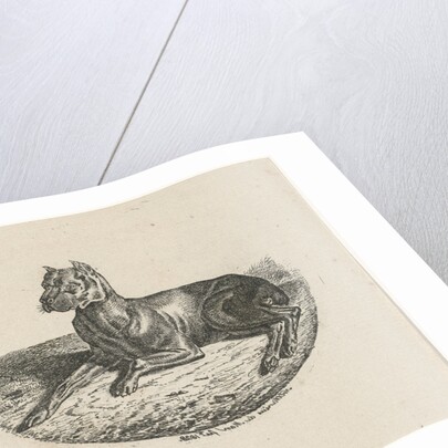 Reclining dog by Anthonie Willem Hendrik Nolthenius de Man