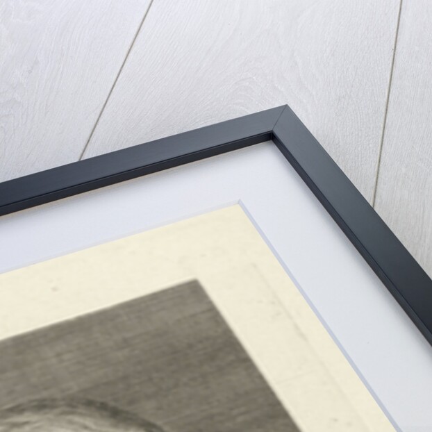 Boy with a tumor by Pieter Willem van Megen