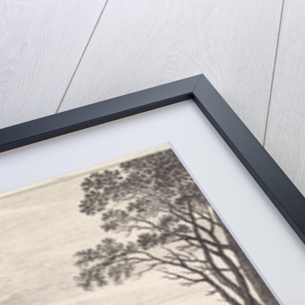Coastal landscape with a windmill by Pieter Nolpe