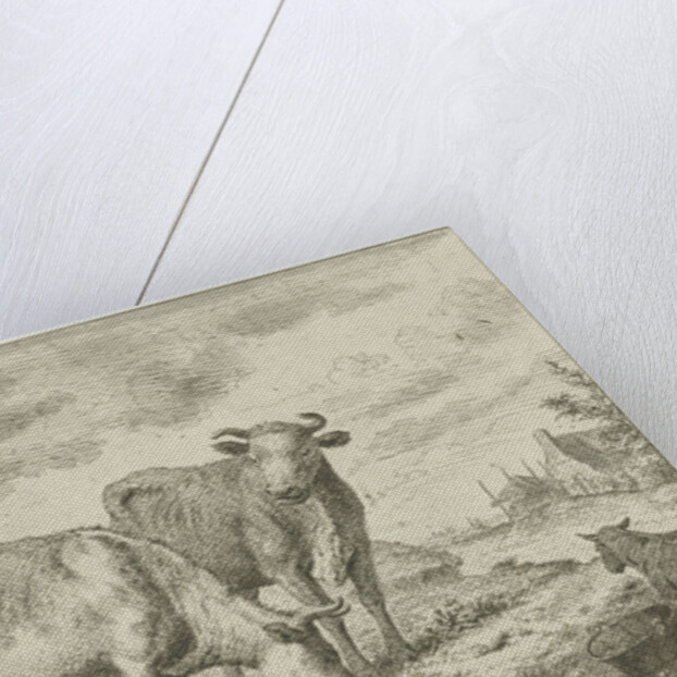 Two cows by Cornelis van Noorde