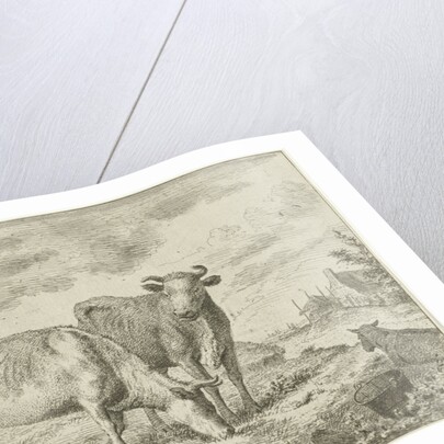 Two cows by Cornelis van Noorde