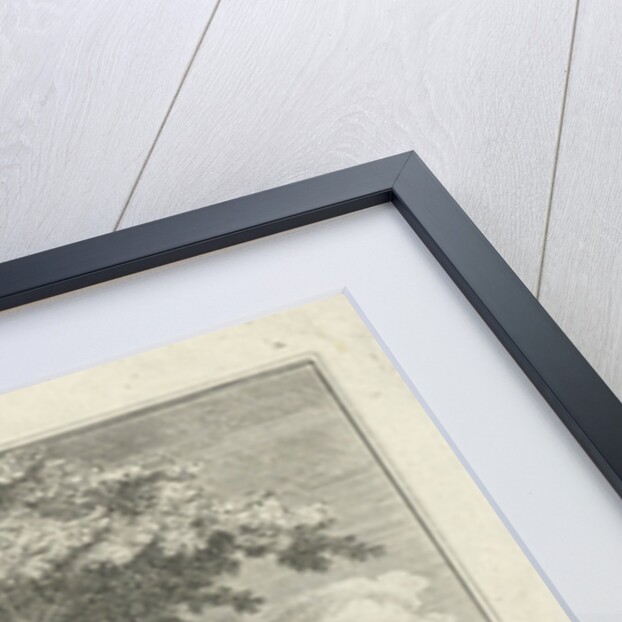 Cities Virgin of Haarlem The Netherlands by Cornelis van Noorde