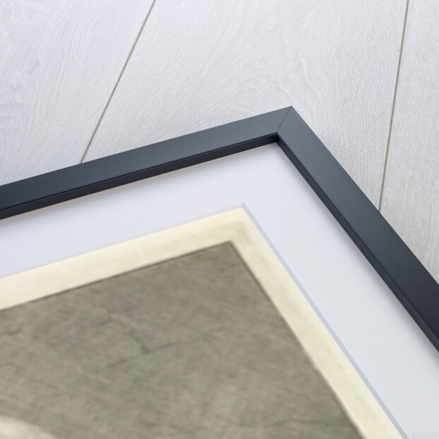 Portrait of Jan Christiaansz van der Winde by Cornelis van Noorde