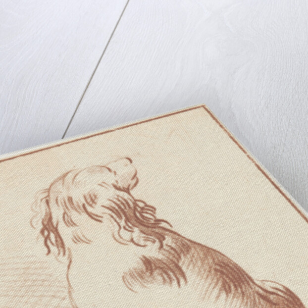 Sitting dog by Aert Schouman