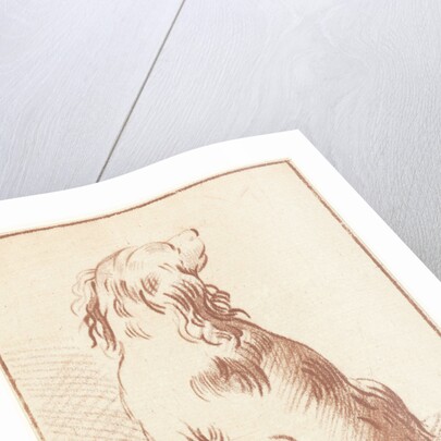 Sitting dog by Aert Schouman