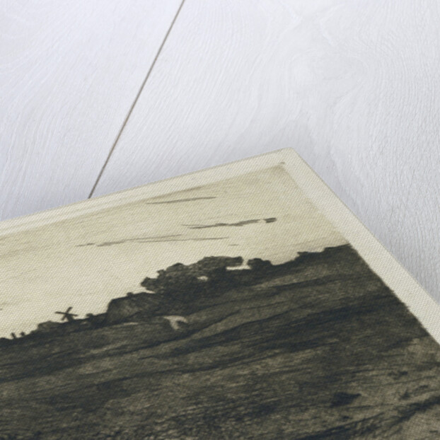 Heather Landscape by Willem Witsen