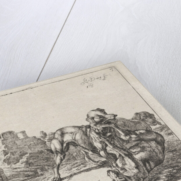 Fighting dogs by Johan le Ducq