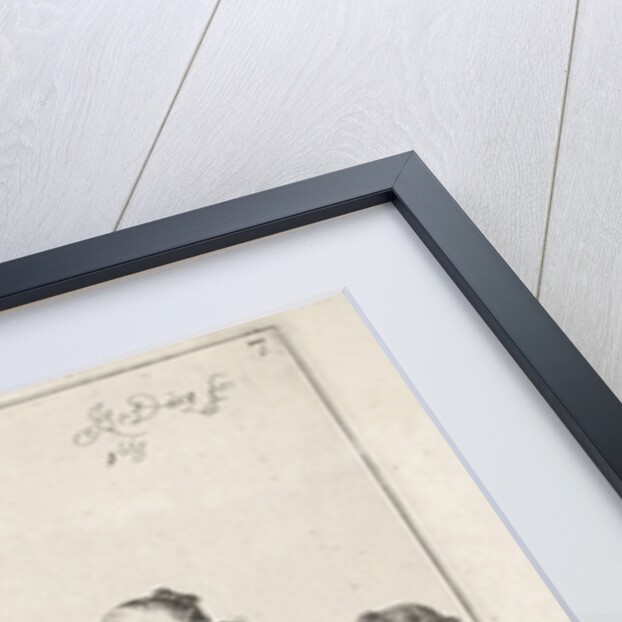 Fighting dogs by Johan le Ducq