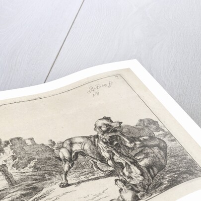 Fighting dogs by Johan le Ducq