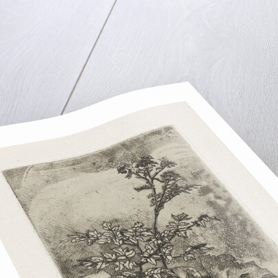 Two plants and a frog by Martinus Antonius Kuytenbrouwer Jr