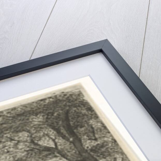 Village on the waterfront by Anna Maria de Koker