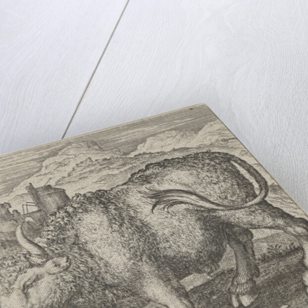 Fable of the bull and mouse by Aegidius Sadeler