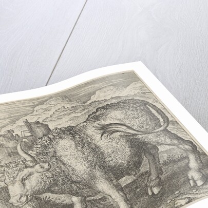 Fable of the bull and mouse by Aegidius Sadeler