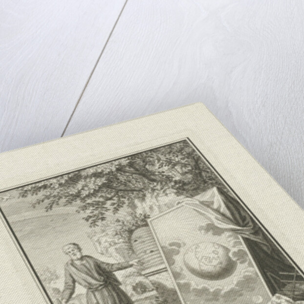 Creation by Jan Caspar Philips