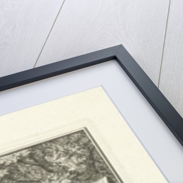 Creation by Jan Caspar Philips