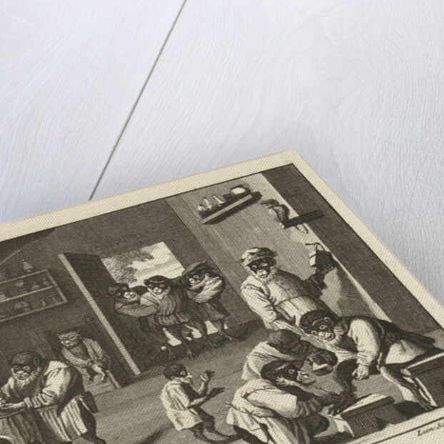Monkeys at the barber and cats by Leonard Schenk