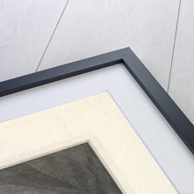 Portrait of Charles Rollin by Pieter Tanjé