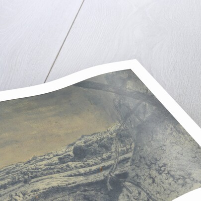 Mountain Valley with Fenced Fields by Hercules Segers