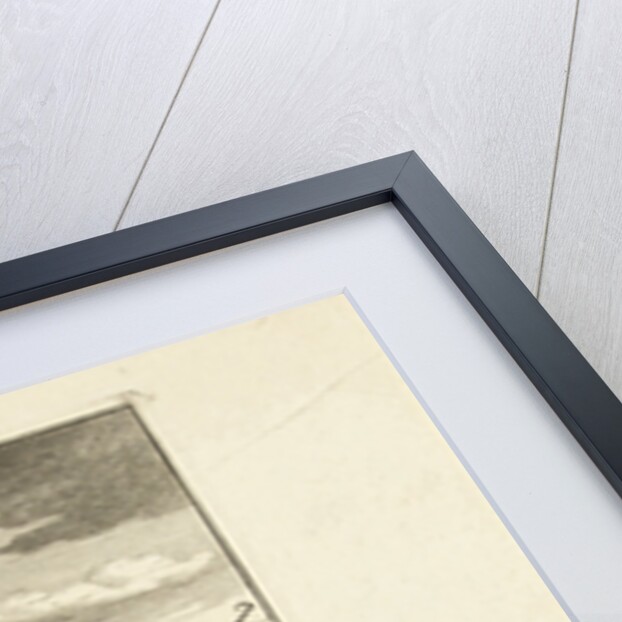 Ice entertainment with monkeys by Matthijs Pool