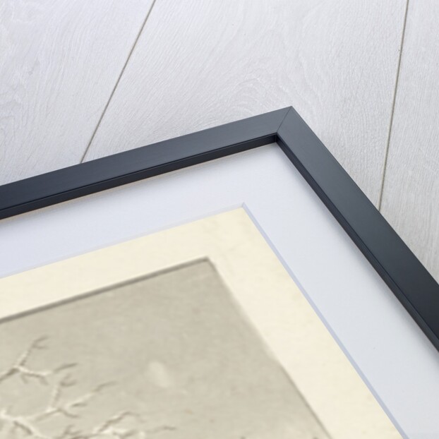 Winter by Reinier Vinkeles