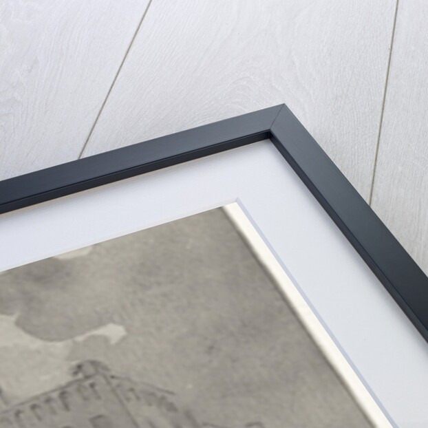 Johan de Witt attacked and seriously injured by Jacobus Buys