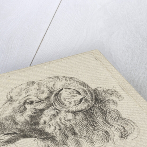 Rams head by Abraham Delfos