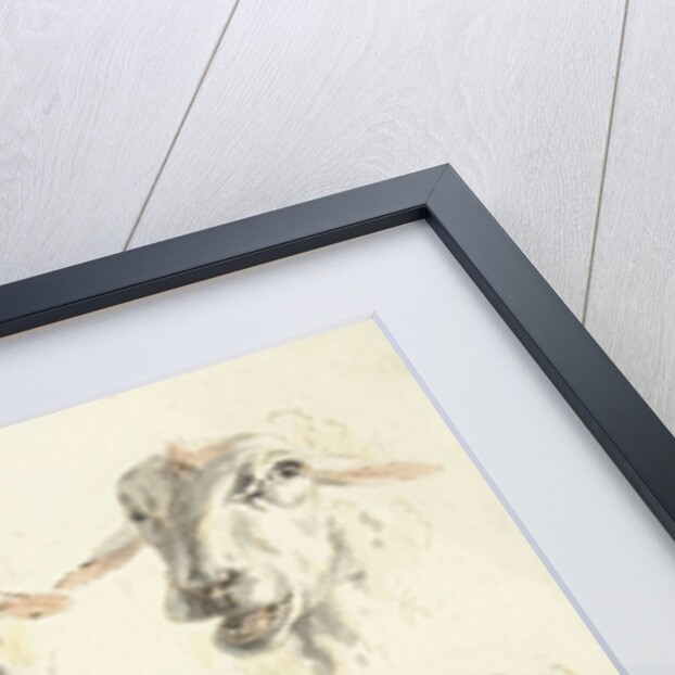 Study Sheet with six sheep heads by Franciscus Andreas Milatz