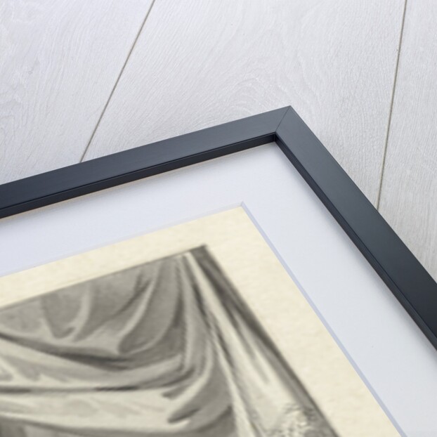 David and Nathan by Jacobus Buys