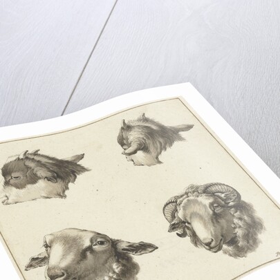 Four heads of goats and sheep by Barend Hendrik Thier