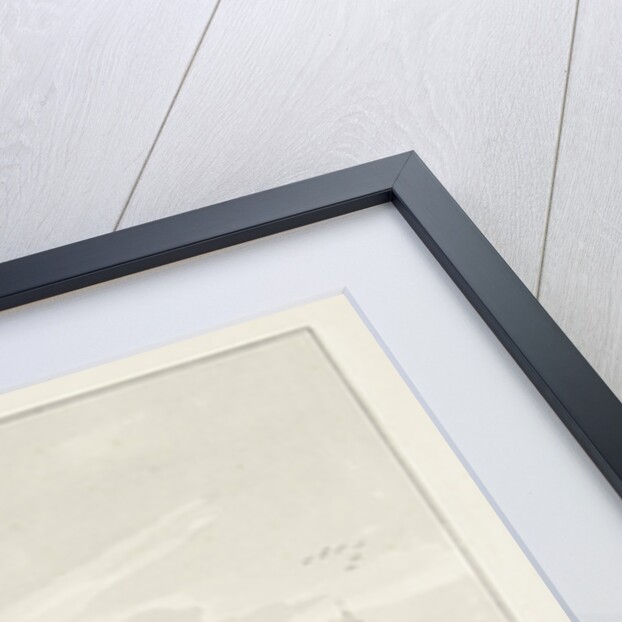 Castle Geldermalsen The Netherlands by Pieter Jan van Liender