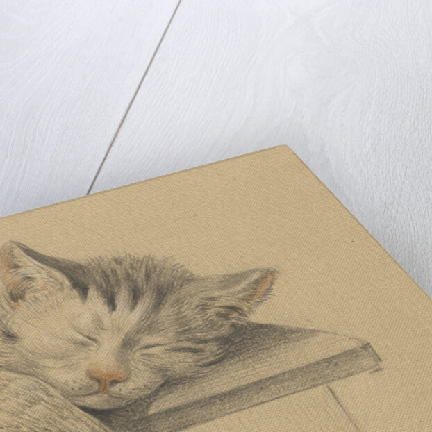 A sleeping cat by Jean Bernard