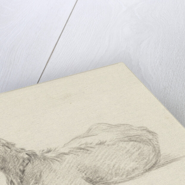 Reclining goat by Jean Bernard