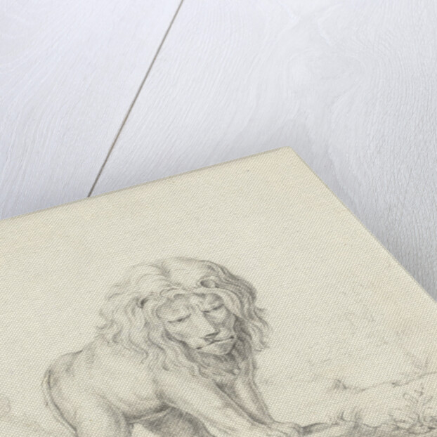 Running lion by Abraham Bloteling
