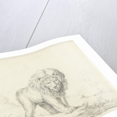 Running lion by Abraham Bloteling