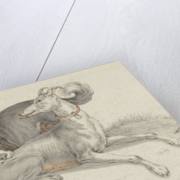 A dog bites another dog by Jean Bernard