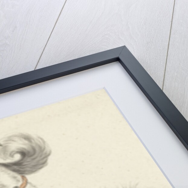 A dog bites another dog by Jean Bernard