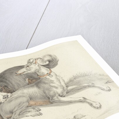 A dog bites another dog by Jean Bernard