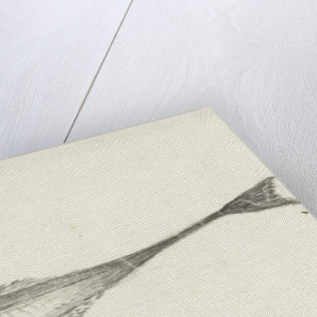 Fish by Jean Bernard