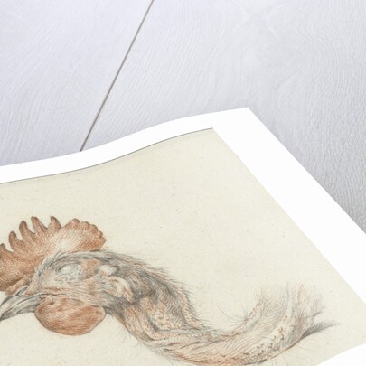 Head of a dead chicken by Jean Bernard