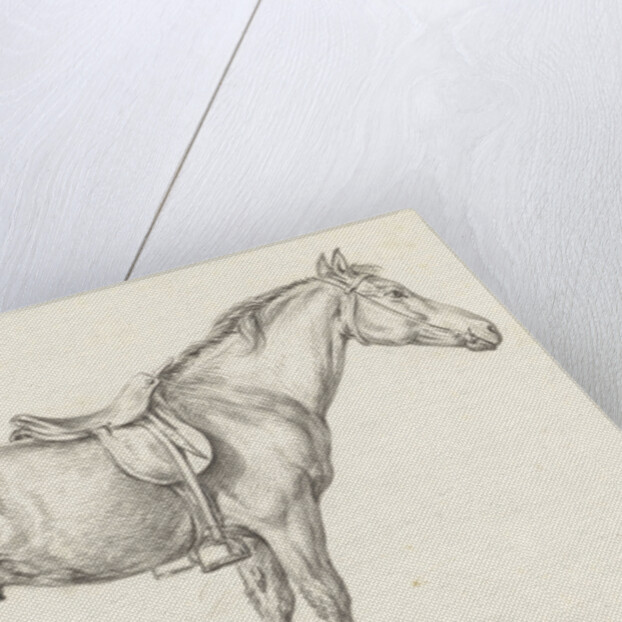 Standing horse by Jean Bernard