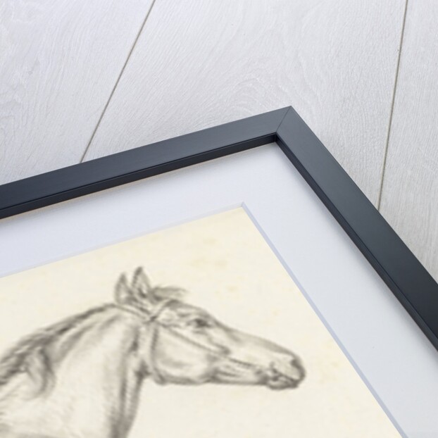 Standing horse by Jean Bernard