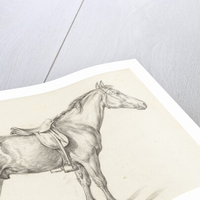 Standing horse by Jean Bernard